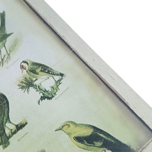 Sweet Bird Themed Metal Sign - Picture 3 of 7